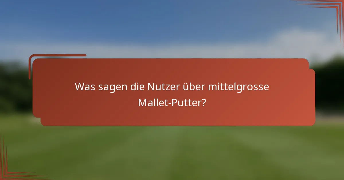 Was sagen die Nutzer über mittelgrosse Mallet-Putter?