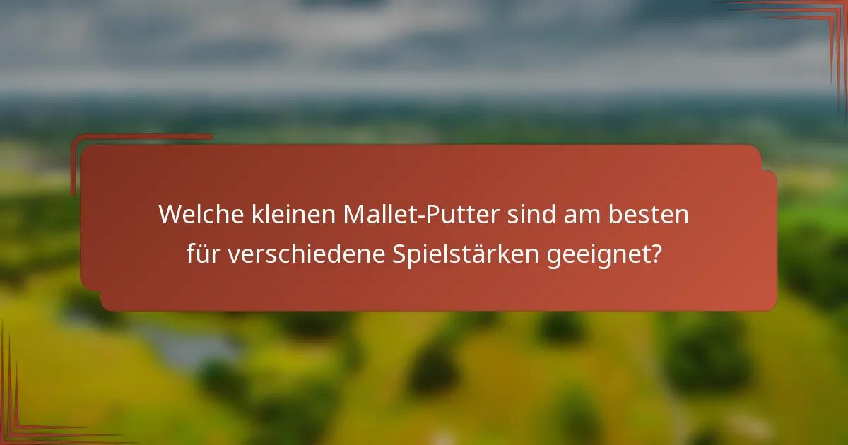 Welche kleinen Mallet-Putter sind am besten für verschiedene Spielstärken geeignet?